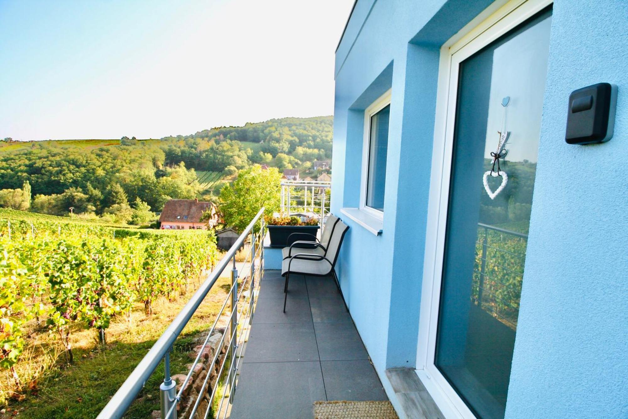Janea Big Blue House Reichsfeld Exterior foto