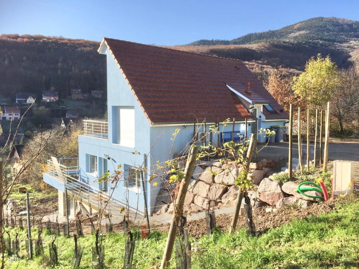 Janea Big Blue House Reichsfeld Exterior foto